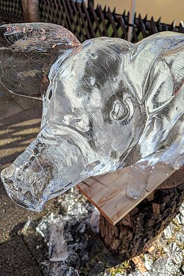 Schwein aus Eis