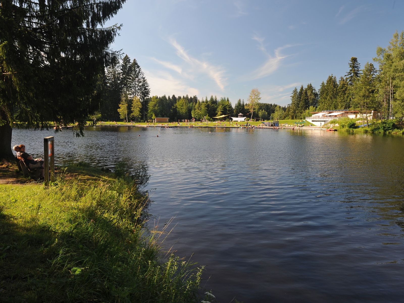 Naturerlebnis Waldsee